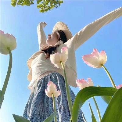 七美疑云 在线观看